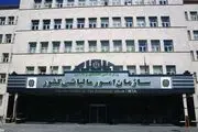 استعلام عدم بدهی مالیاتی چالشی ۳ ماهه برای دریافت مجوز کسب و کار