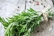 با این گیاه از خستگی و بی‌حالی خداحافظی کنید