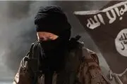 بازی در پایتخت 5 برایم رسیدن به اوج بود