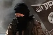 بازی در پایتخت 5 برایم رسیدن به اوج بود