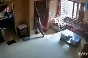 این زن چگونه از ورود سارقان به خانه‌اش جلوگیری کرد؟!