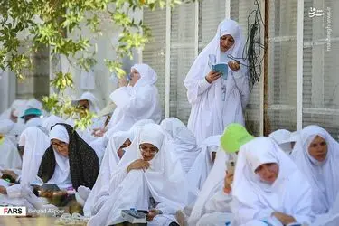 82Ys4g2oTRDo