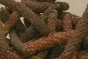 ادویه ای که بدخیم ترین سرطان ها را درمان می کند/ عکس