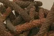 ادویه ای که بدخیم ترین سرطان ها را درمان می کند/ عکس