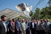 شهردار تهران در میان پرندگان/ گزارش تصویری