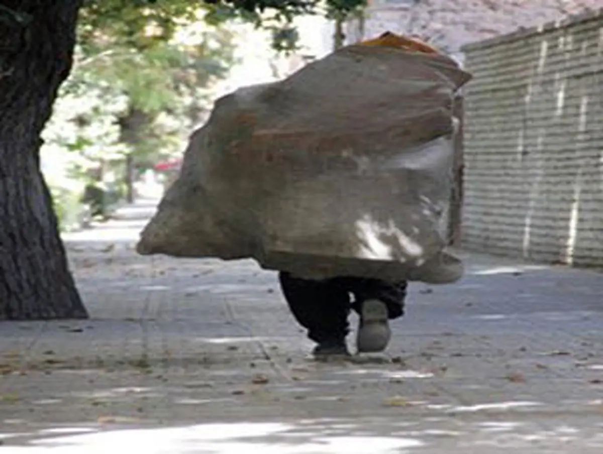 چه کسی پاسخگوی معضل زباله گردی است