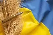 نمی‌توانیم ادعای اوکراین درباره ربوده شدن غلاتش را تایید کنیم 