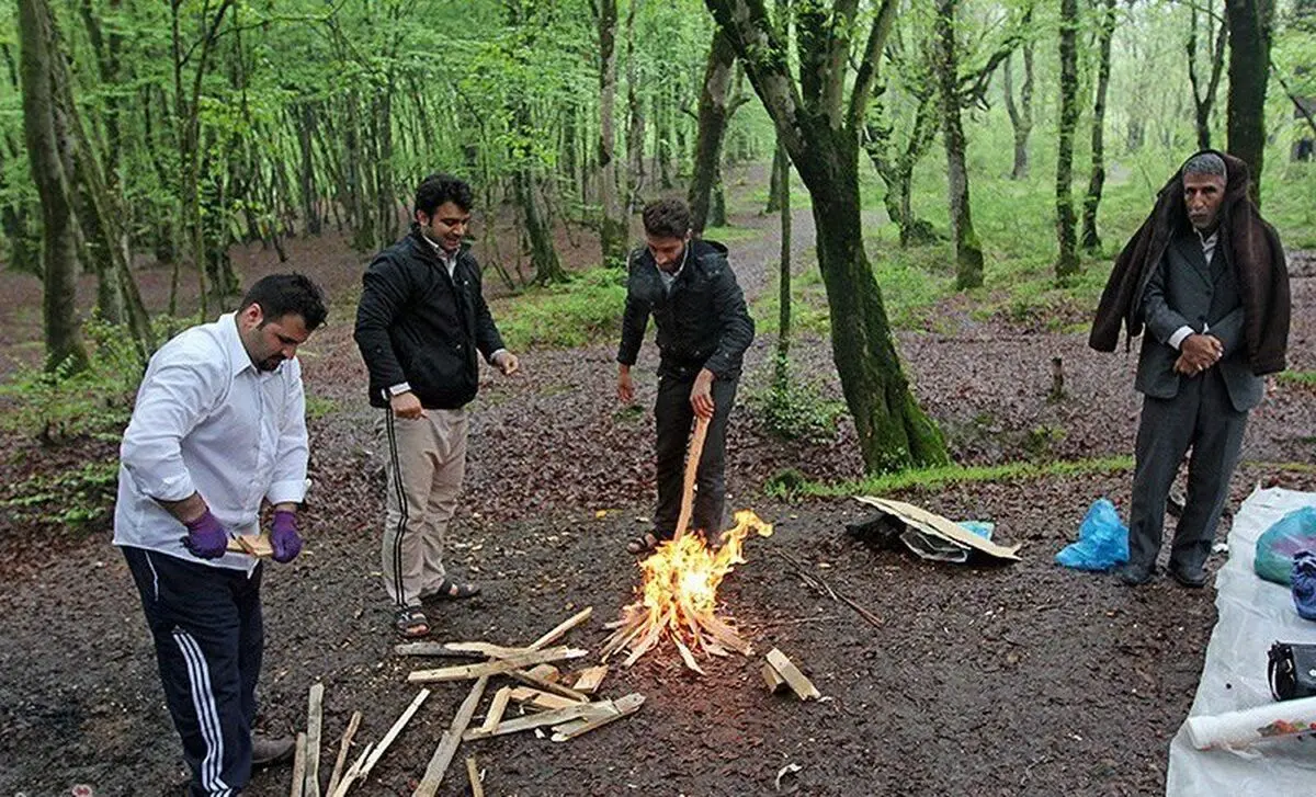 عوامل حریق‌های متعدد در فضای سبز تهران