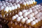تولید تخم‌مرغ تا پایان آذر به ۱۱۰ هزارتن می رسد
