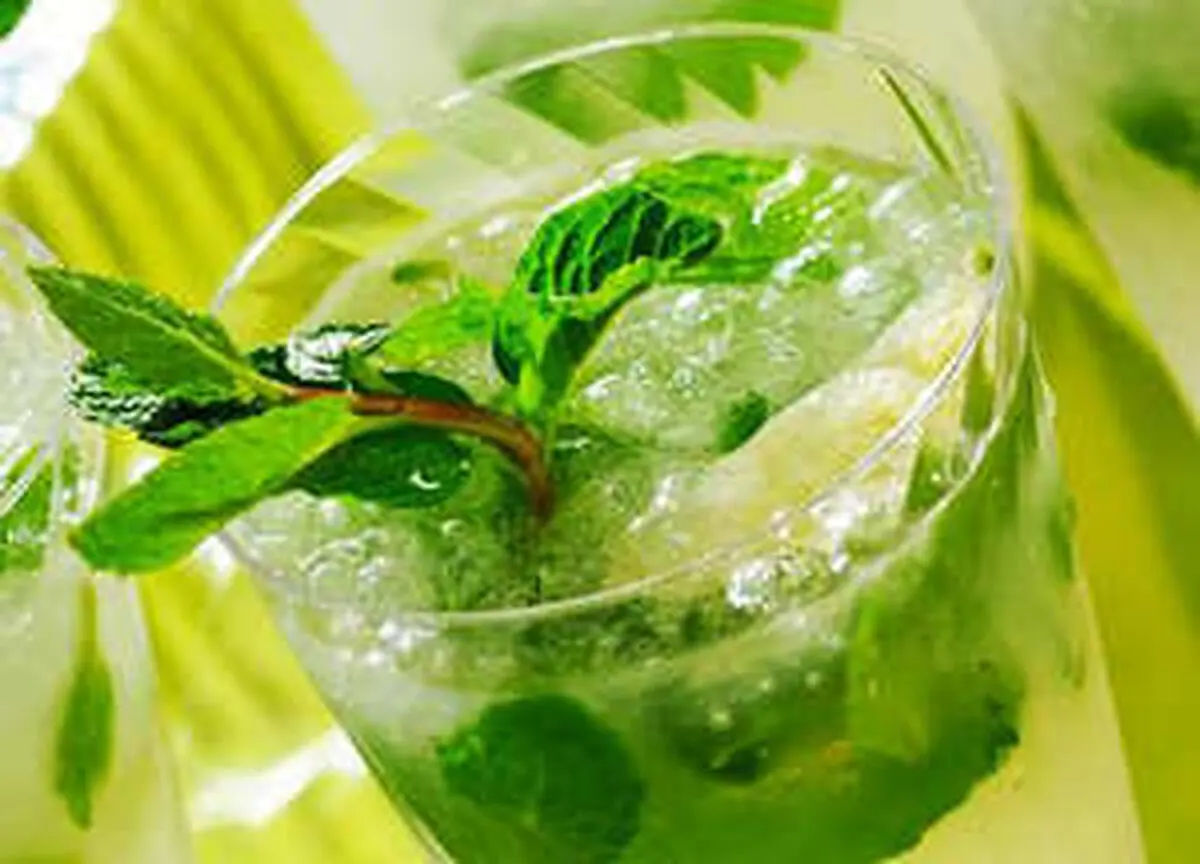عرق بیدمشک بخورید