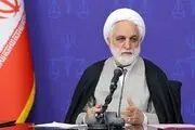 محسنی اژه‌ای: دولت ما دولتی انقلابی است