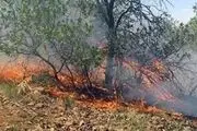 کنترل شدن 95 درصد آتش سوزی جنگل‌های بهبهان 