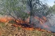 کنترل شدن 95 درصد آتش سوزی جنگل‌های بهبهان 