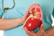 با این فرمول سنگ کلیه رو صبح پودر و شب دفع کن!