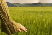 ۲۱ درس زندگی برای خوشبختی