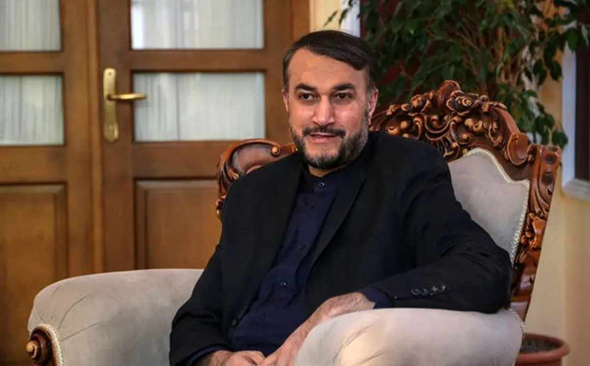 ایران تسلیم فشارهای سیاسی برای حل پرونده «نازنین زاغری» نمی شود