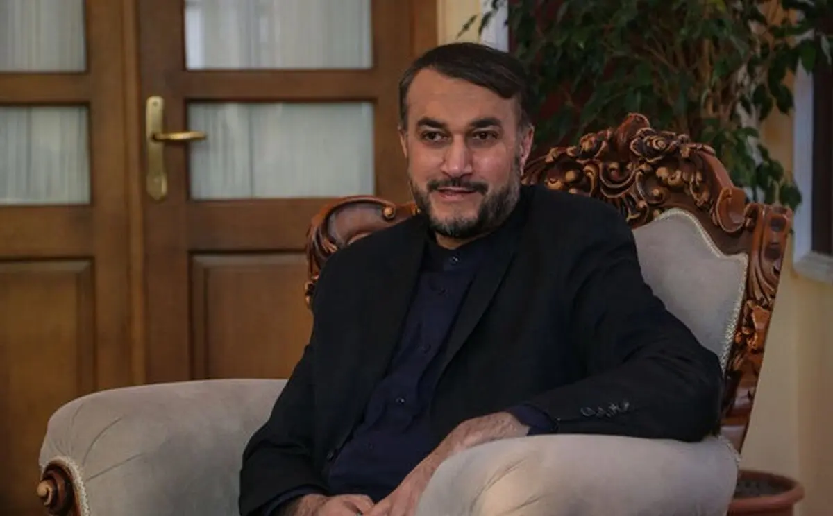 ایران تسلیم فشارهای سیاسی برای حل پرونده «نازنین زاغری» نمی شود