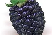 این میوه تابستانی از سرطان جلوگیری می کند!