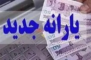 استعلام یارانه دهه فجر و فجرانه با این کد دستوری