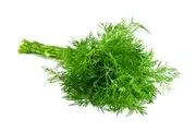 فواید شگفت انگیز شوید برای سلامتی
