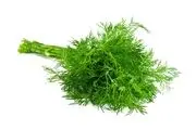 فواید شگفت انگیز شوید برای سلامتی
