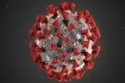 مروری بر اتفاقات ویروسی که دنیا را مبتلا کرد