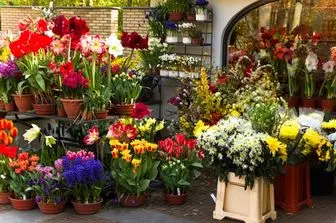 آدرس بهترین گل فروشی های تهران