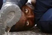 جرائم ناشی از نفرت در آمریکا رکورد زد