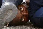 جرائم ناشی از نفرت در آمریکا رکورد زد