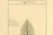 معنی تاسیان چیست؟