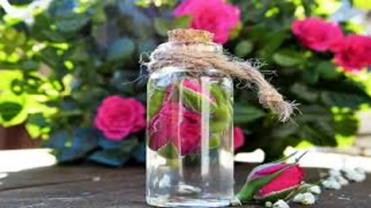 قیمت گلاب در ماه رمضان چقدر است؟