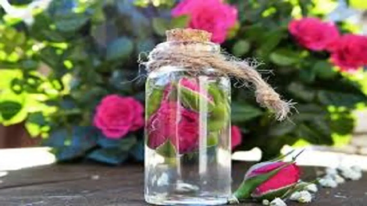 قیمت گلاب در ماه رمضان چقدر است؟
