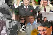 معاندینی که به خوردن پنبه دانه در خواب مشغولند!