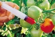 وزیر جدید کشاورزی و مباحث تراریخته