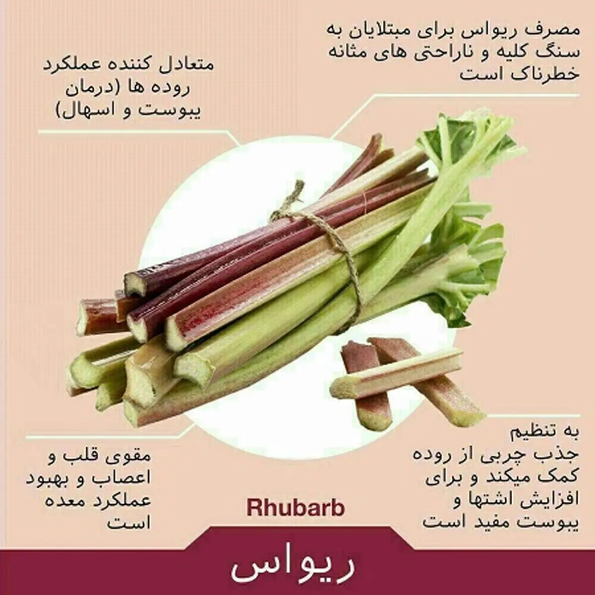 خواص درمانی ریواس؛ نوبرانه تابستانی