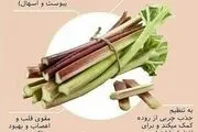 خواص درمانی ریواس؛ نوبرانه تابستانی