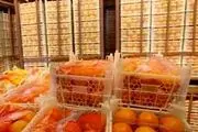 ذخیره ۱۰۰ هزار تن سیب و پرتقال شب عید