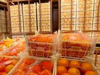 ذخیره ۱۰۰ هزار تن سیب و پرتقال شب عید
