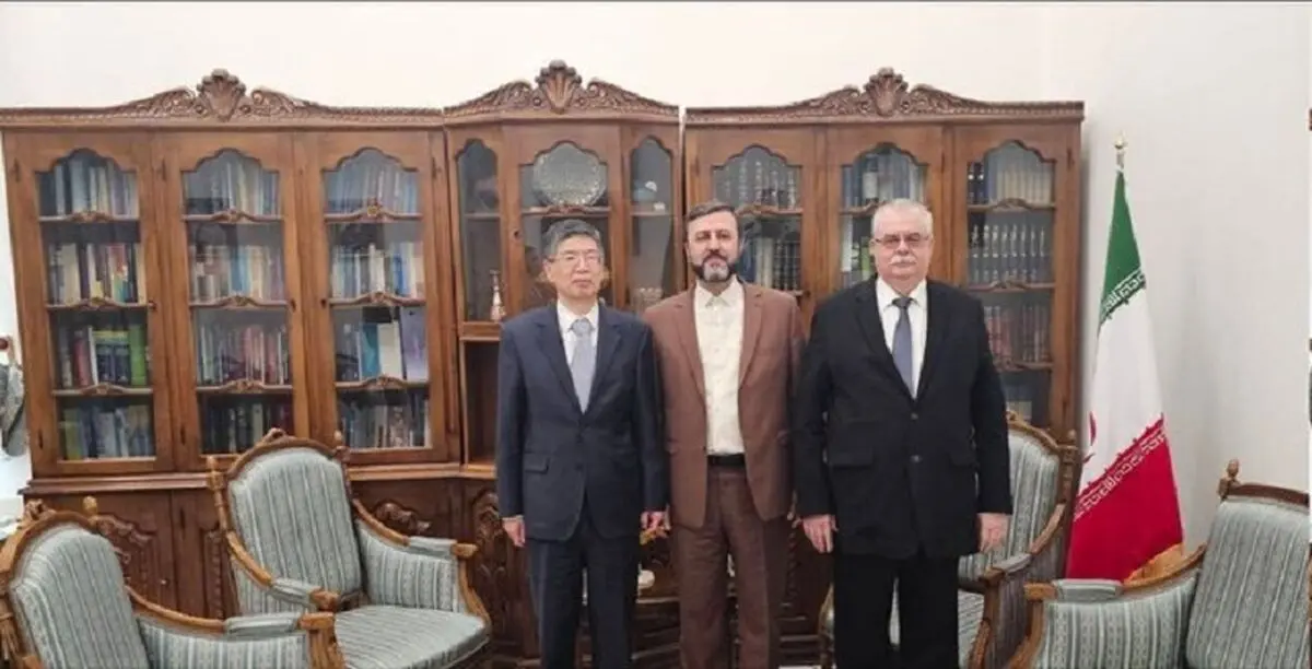 
رایزنی غریب آبادی با سفرای روسیه و چین
