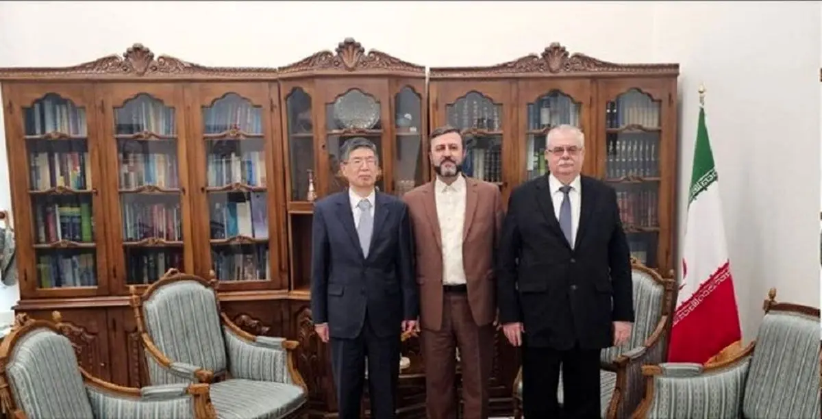 
رایزنی غریب آبادی با سفرای روسیه و چین
