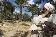 طلای سیاه بلوچستان از نبود 