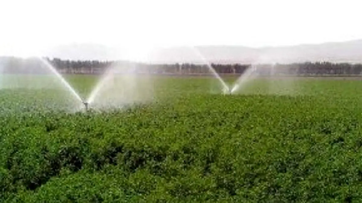 افزایش ۳۰ درصدی بهره وری آب با توسعه سامانه های نوین آبیاری