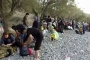 استقرار صدها مرزبان در مرز یونان با ترکیه