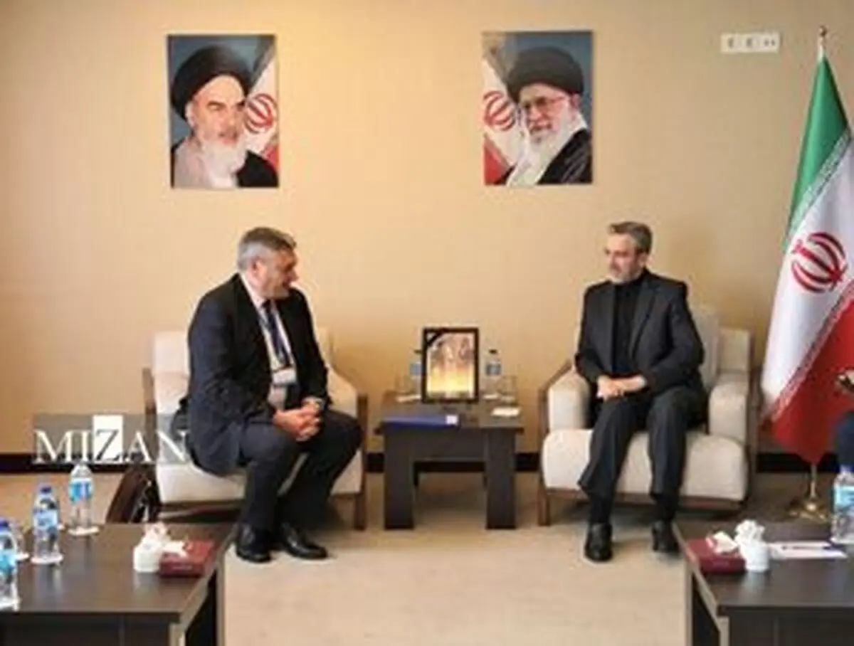 
دیدار معاون وزیر امور خارجه روسیه با باقری
