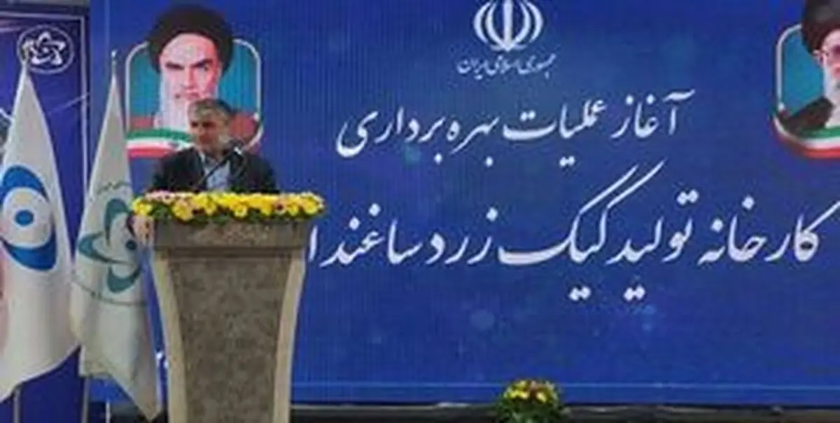 
تولید کیک زرد ۵۰ درصد افزایش می‌یابد
