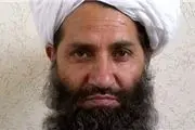 سرکرده جدید طالبان مذاکرات صلح را رد کرد