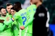 گرگ‌ها جای زنبور‌ها را در جدول گرفتند 