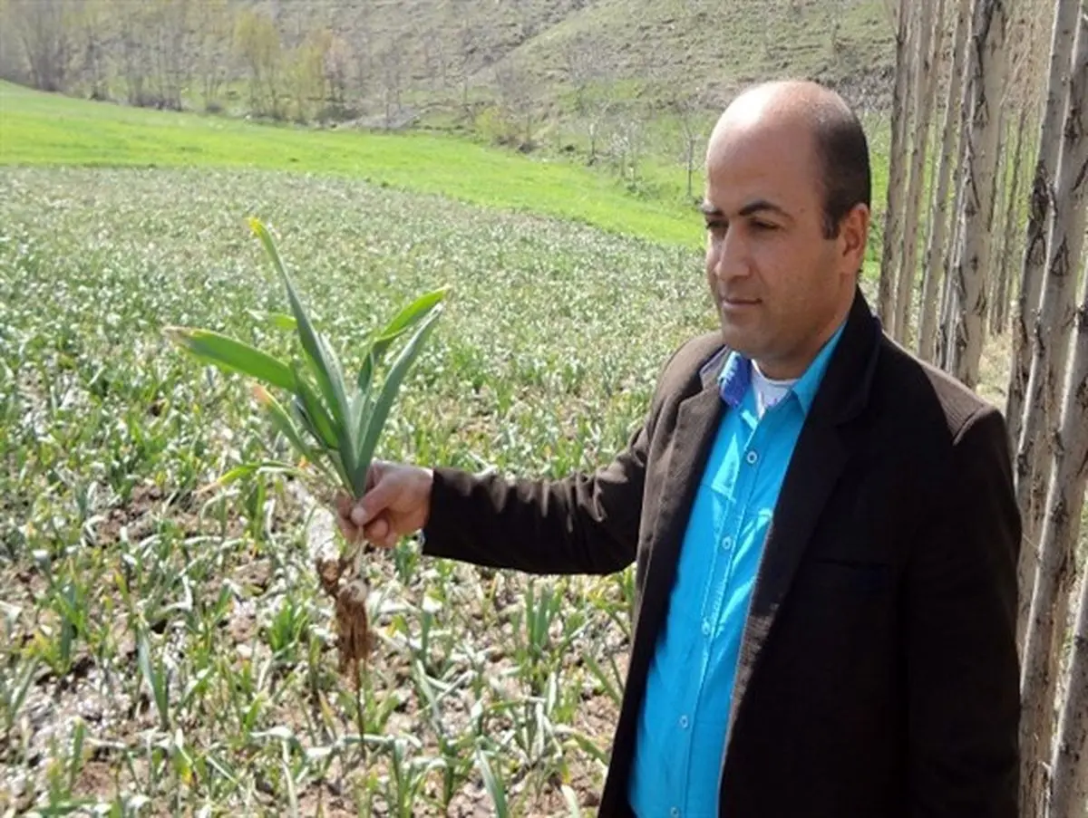 اوجگیری تحقق اقتصاد مقاومتی در ارتفاع 500 متری توسط جوان نهاوندی + تصاویر