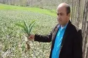 اوج‌گیری تحقق اقتصاد مقاومتی در ارتفاع 500 متری توسط جوان نهاوندی + تصاویر