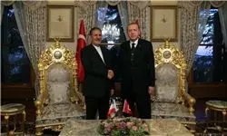 جزئیات دیدار جهانگیری و اردوغان